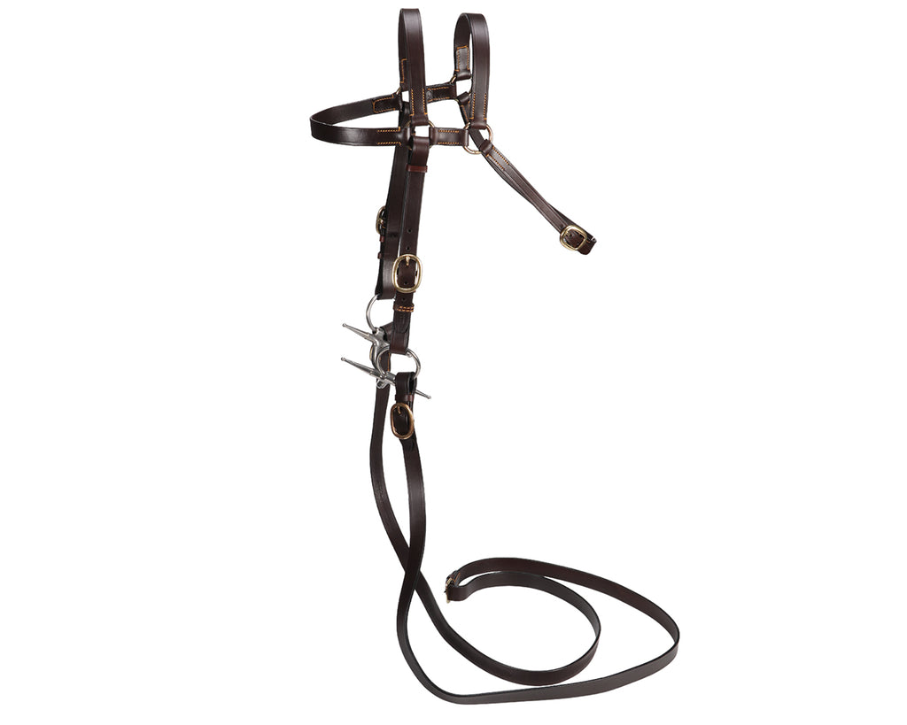 Ord River 7/8" Extended Head Barcoo Bridle