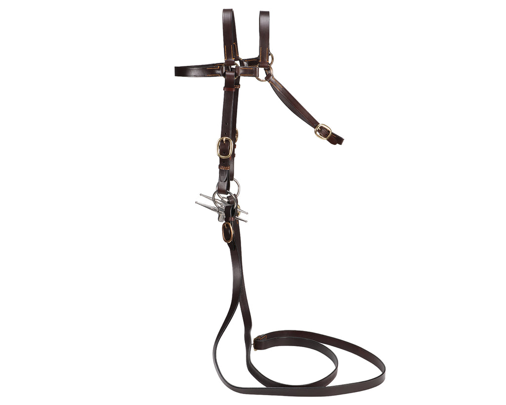 Ord River 7/8" Extended Head Barcoo Bridle