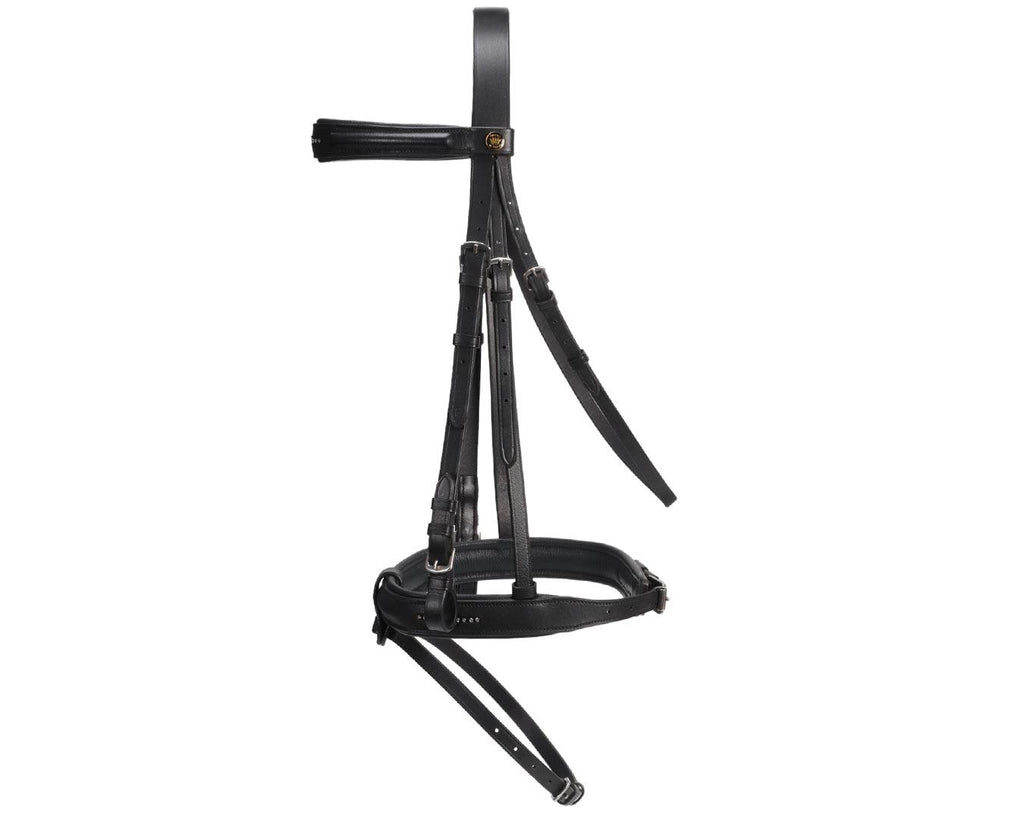 Jeremy & Lord Bling Bridle - Black