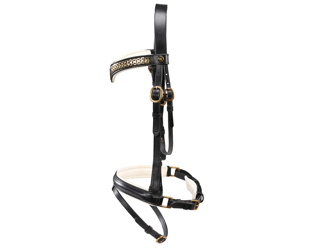 Jeremy & Lord Transition Bridle