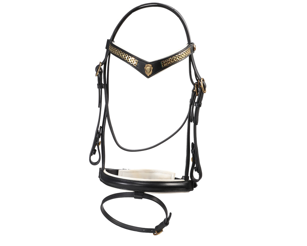 Jeremy & Lord Transition Bridle