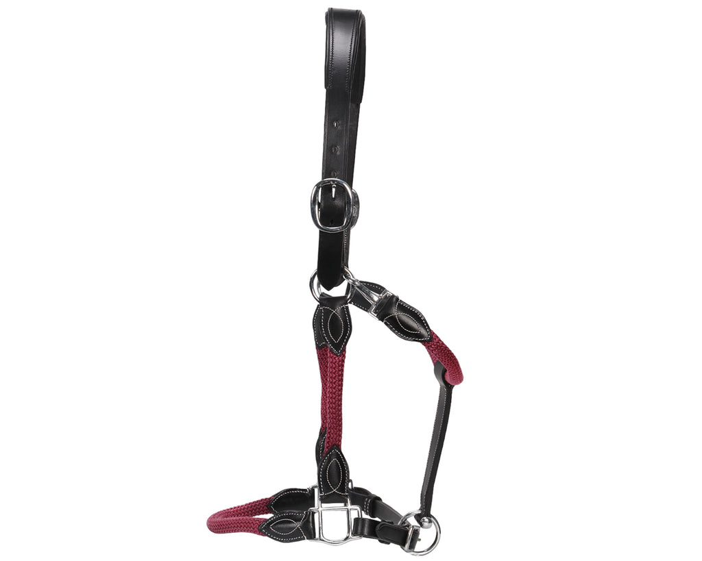 Leather and Rope Halter - Burgundy & Black