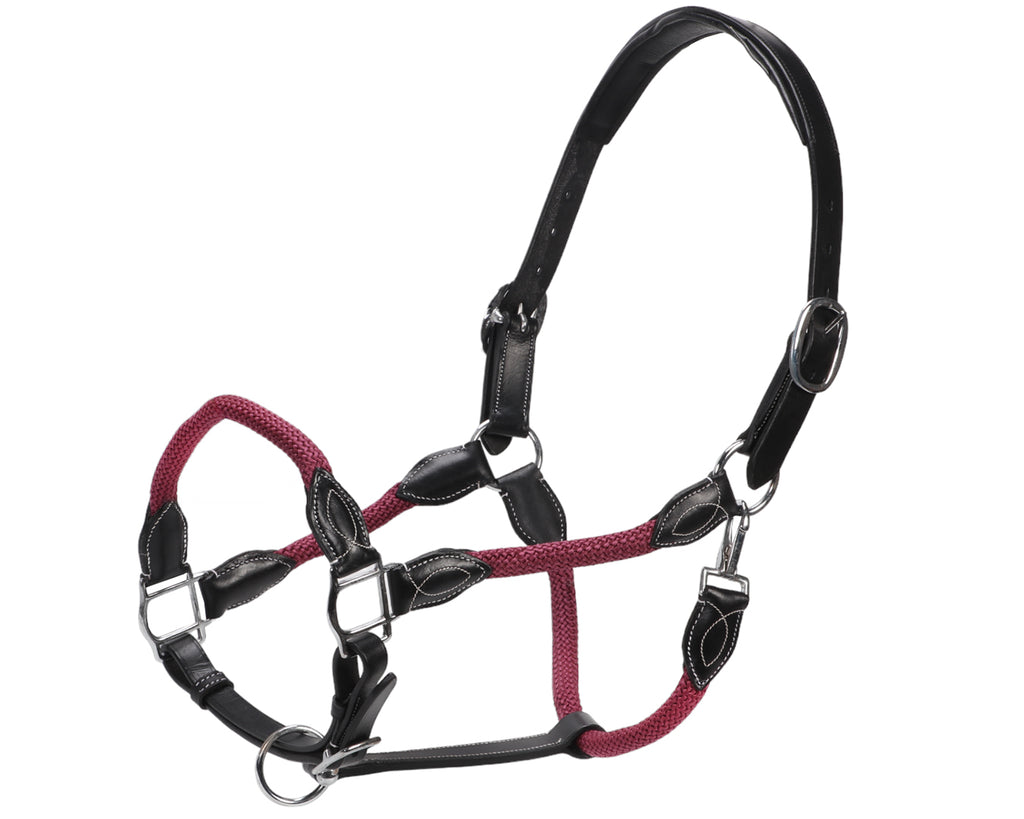 Leather and Rope Halter - Burgundy & Black