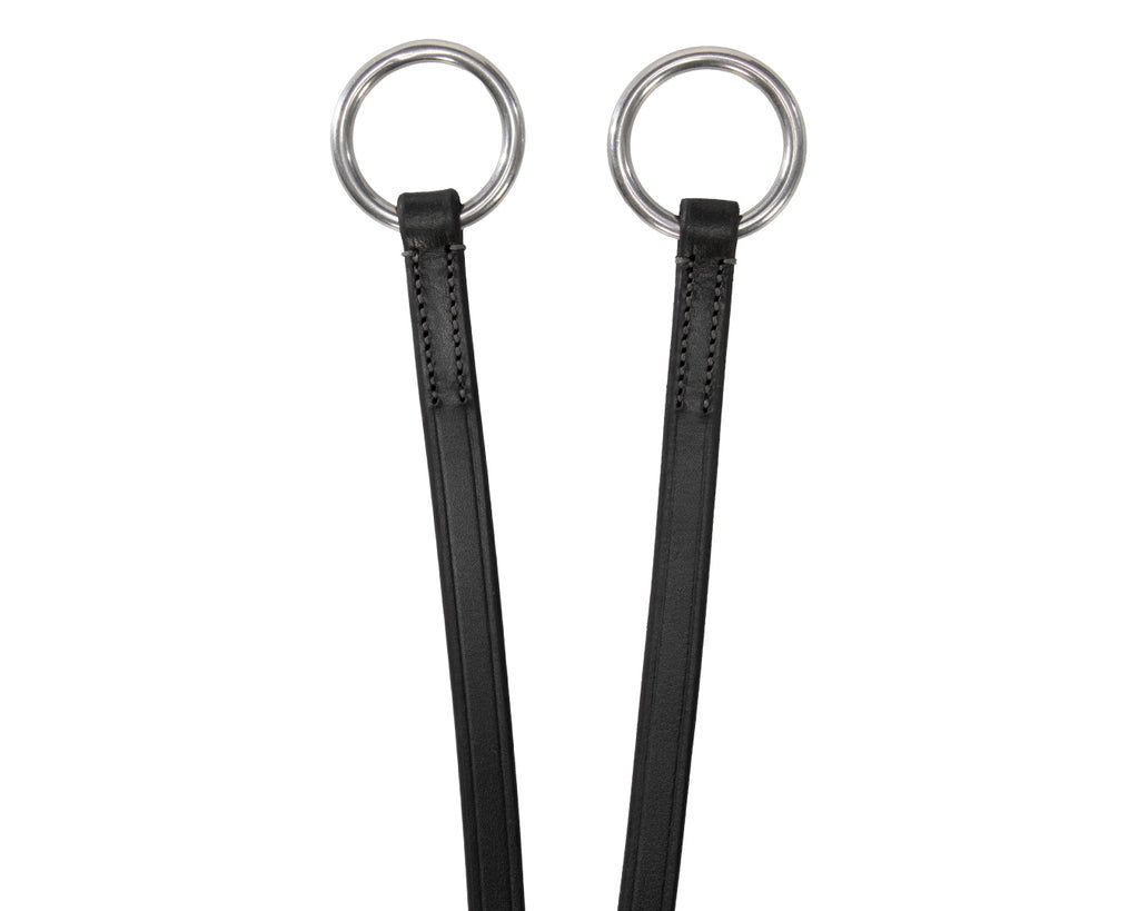 Jeremy & Lord Running Martingale