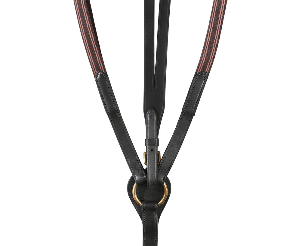 Jeremy & Lord Eventing Martingale