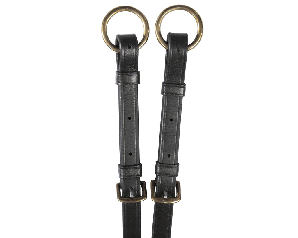 Jeremy & Lord Eventing Martingale