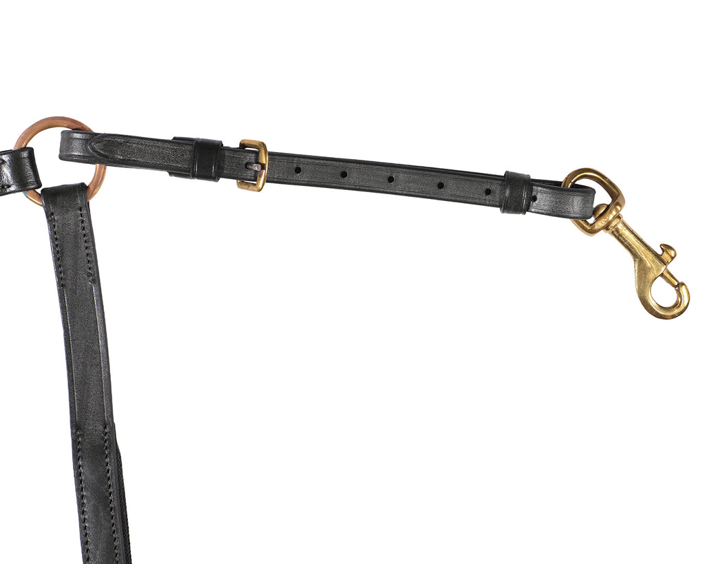 Jeremy & Lord Eventing Martingale