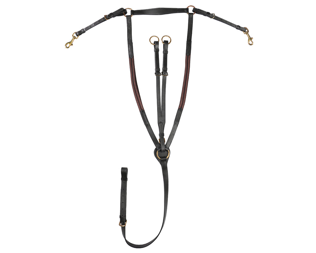 Jeremy & Lord Eventing Martingale