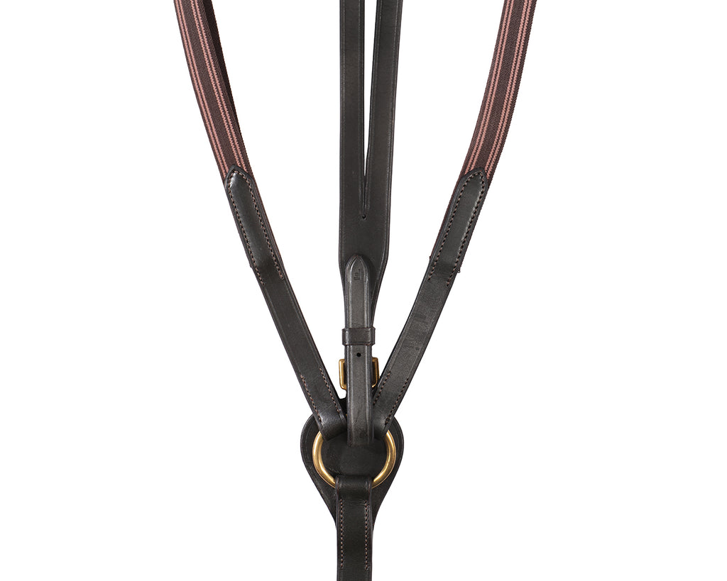 Jeremy & Lord Eventing Martingale