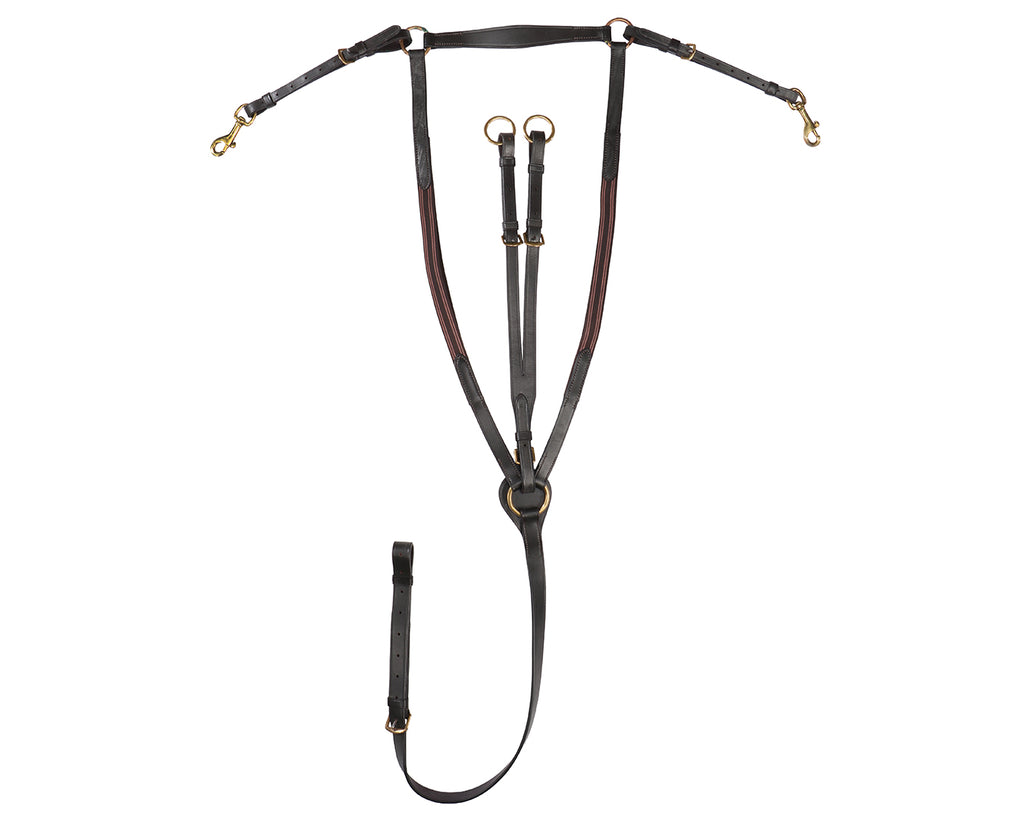 Jeremy & Lord Eventing Martingale