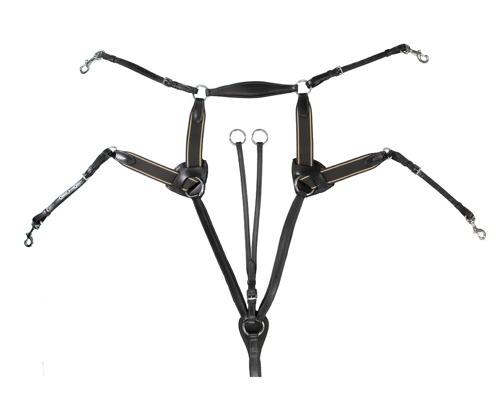 Jeremy & Lord Five Point Breastplate