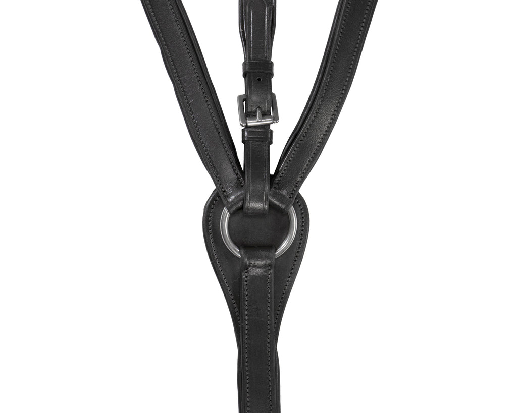 Jeremy & Lord Five Point Breastplate