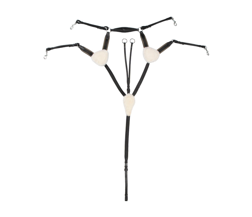 Jeremy & Lord Five Point Breastplate