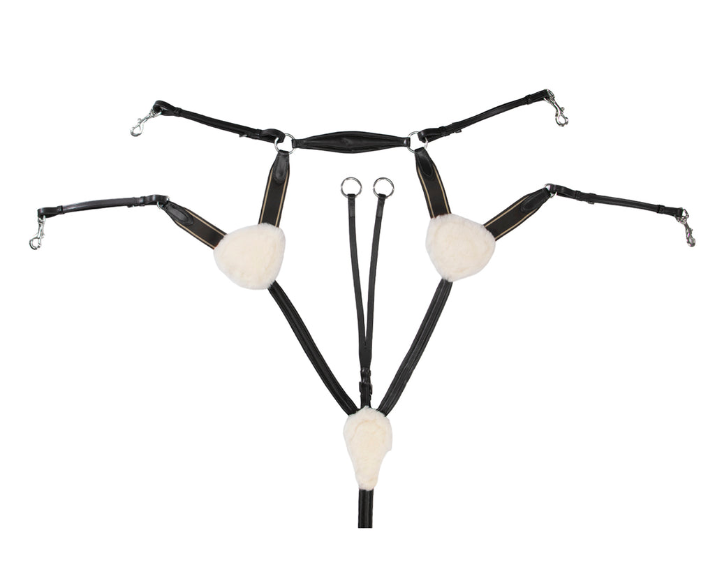 Jeremy & Lord Five Point Breastplate