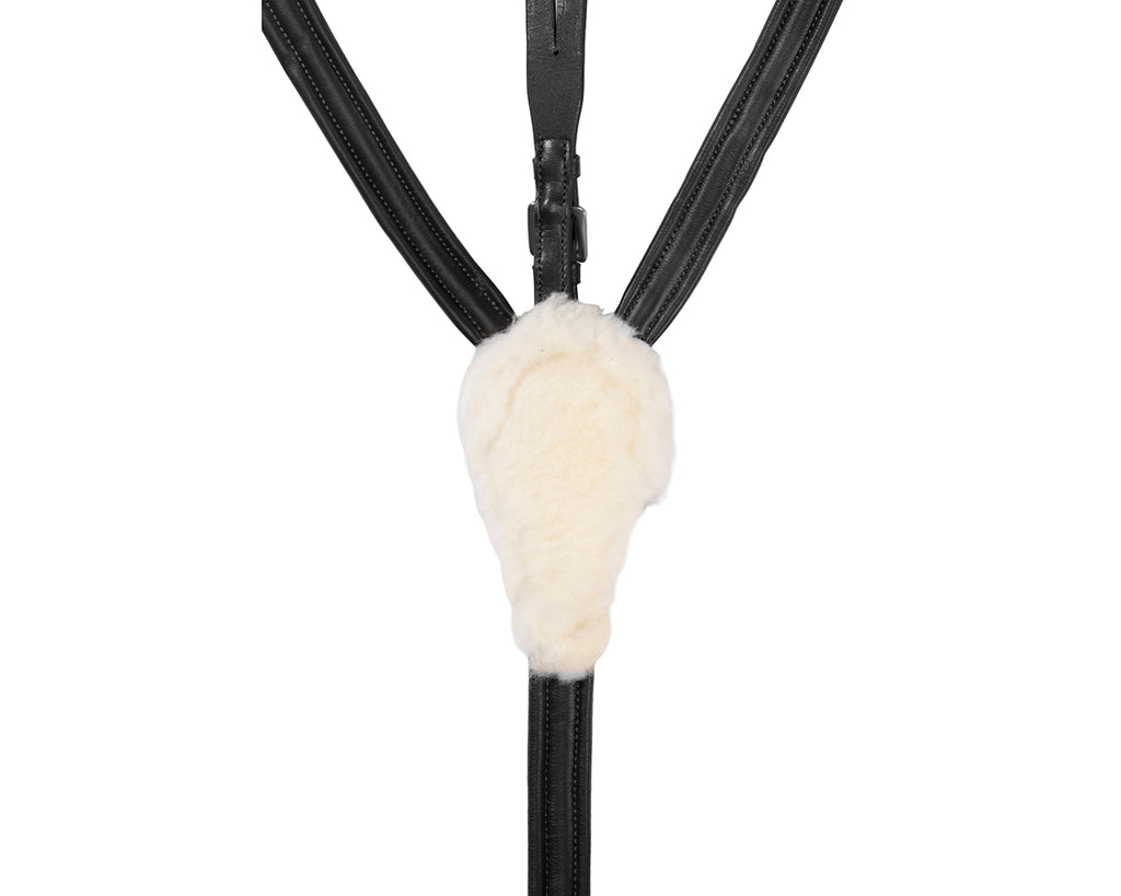 Jeremy & Lord Five Point Breastplate