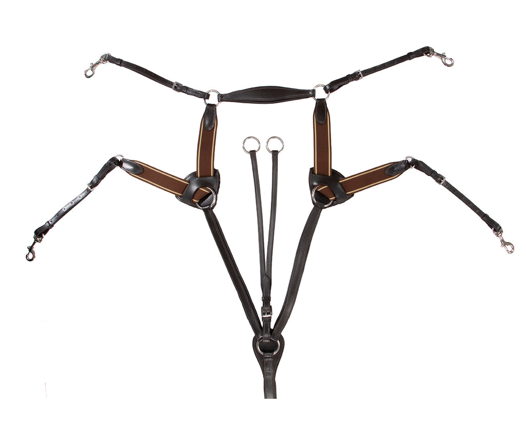 Jeremy & Lord Five Point Breastplate