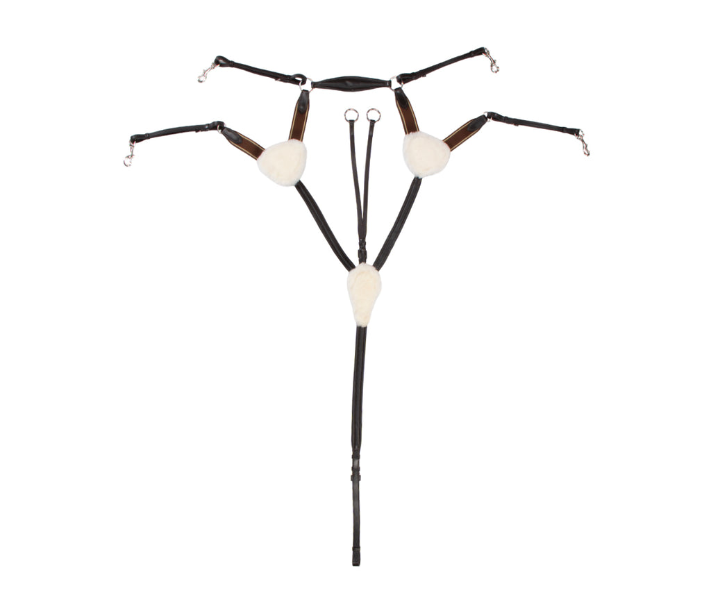 Jeremy & Lord Five Point Breastplate