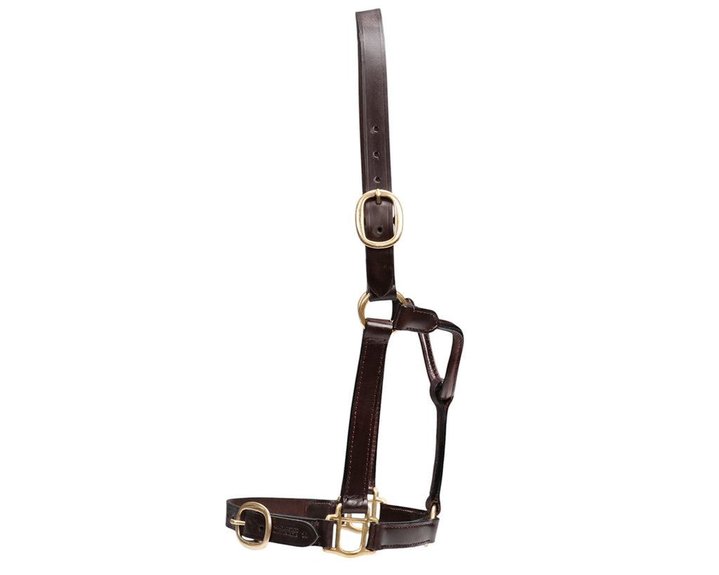 Single Ply Leather Halter