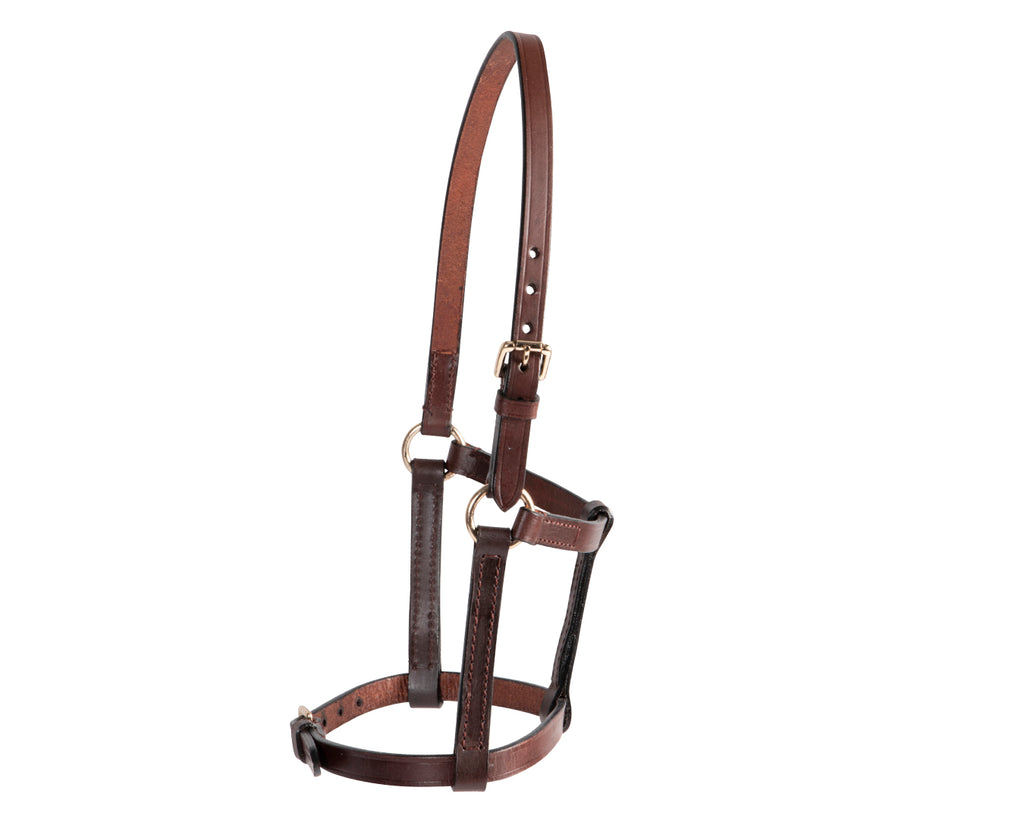 A close-up image of a Leather Foal Halter. The halter is made of soft and supple leather with solid brass hardware. It has adjustable straps on the noseband and crown for a customized fit. The halter is designed to be easily slipped on and off, making it convenient for handling young foals. The brass hardware adds durability and a touch of elegance to the halter.