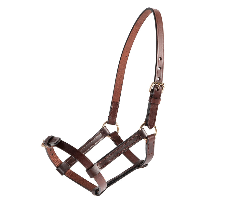 A close-up image of a Leather Foal Halter. The halter is made of soft and supple leather with solid brass hardware. It has adjustable straps on the noseband and crown for a customized fit. The halter is designed to be easily slipped on and off, making it convenient for handling young foals. The brass hardware adds durability and a touch of elegance to the halter.