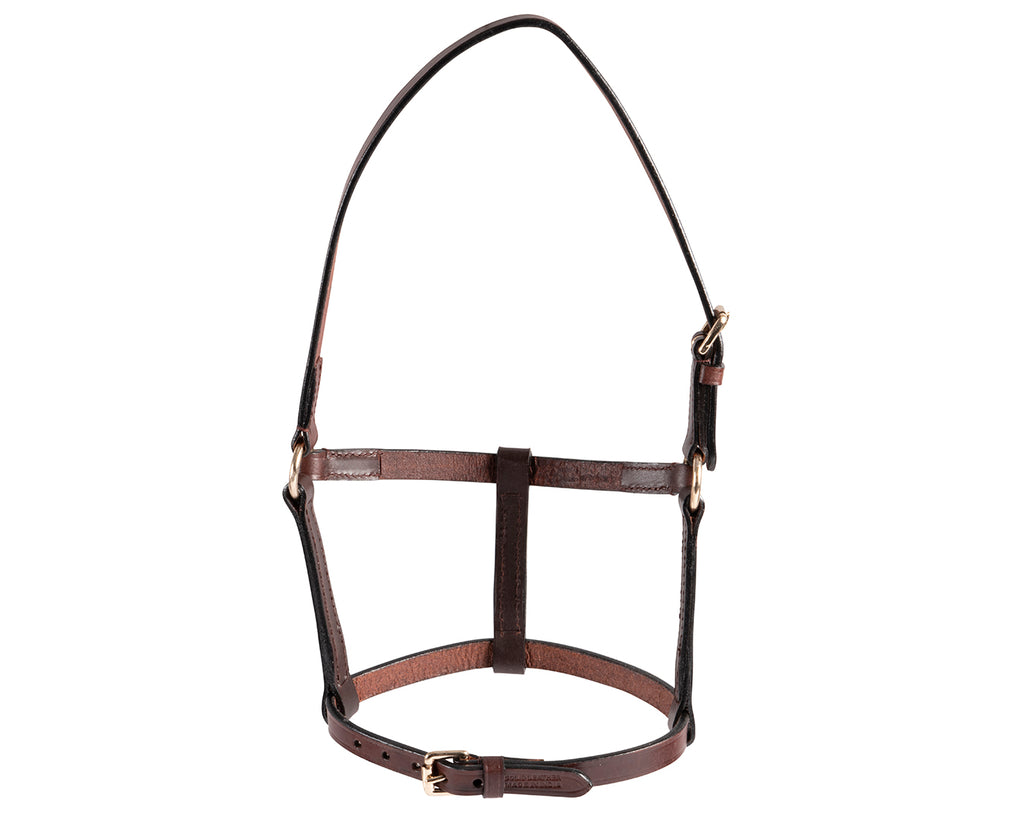 A close-up image of a Leather Foal Halter. The halter is made of soft and supple leather with solid brass hardware. It has adjustable straps on the noseband and crown for a customized fit. The halter is designed to be easily slipped on and off, making it convenient for handling young foals. The brass hardware adds durability and a touch of elegance to the halter.