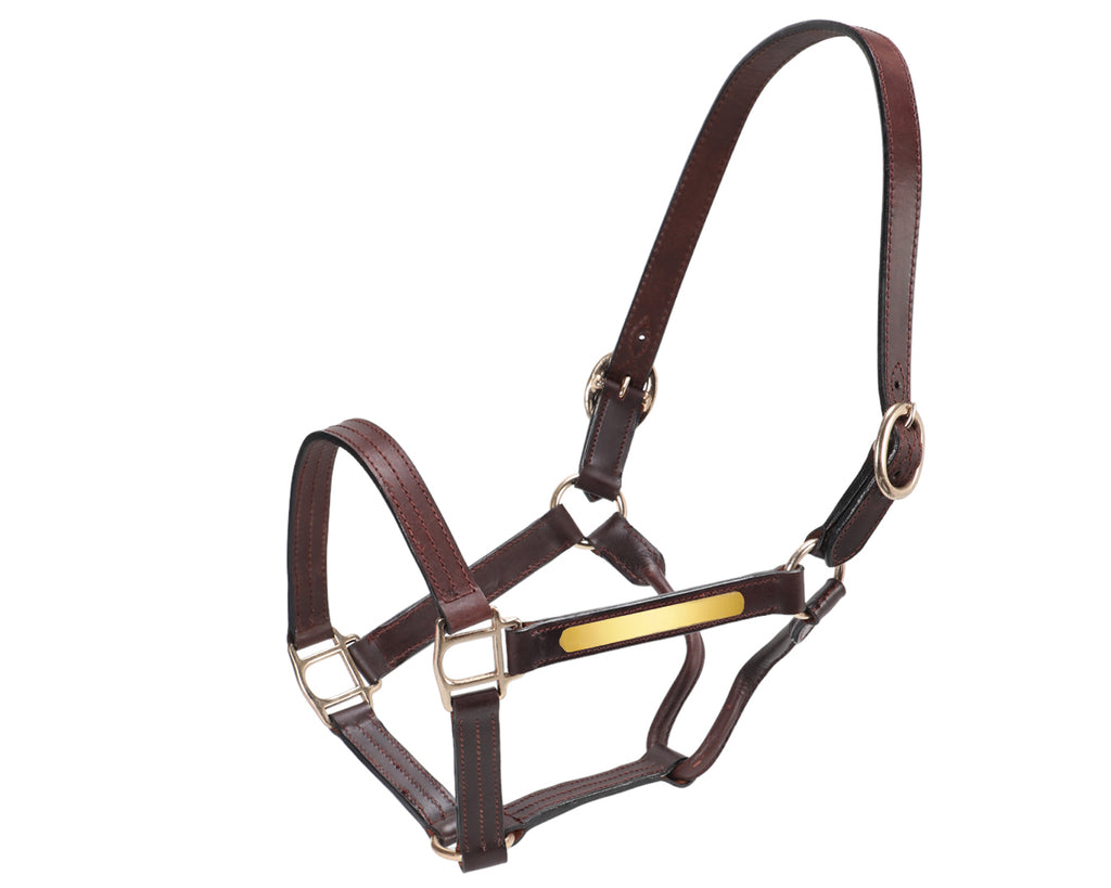 Thoroughbred Nameplate Halter made with stylish brown double layered leather
