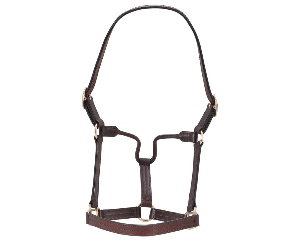 Thoroughbred Nameplate Halter with polished bross buckles and nameplates on each cheekpiece