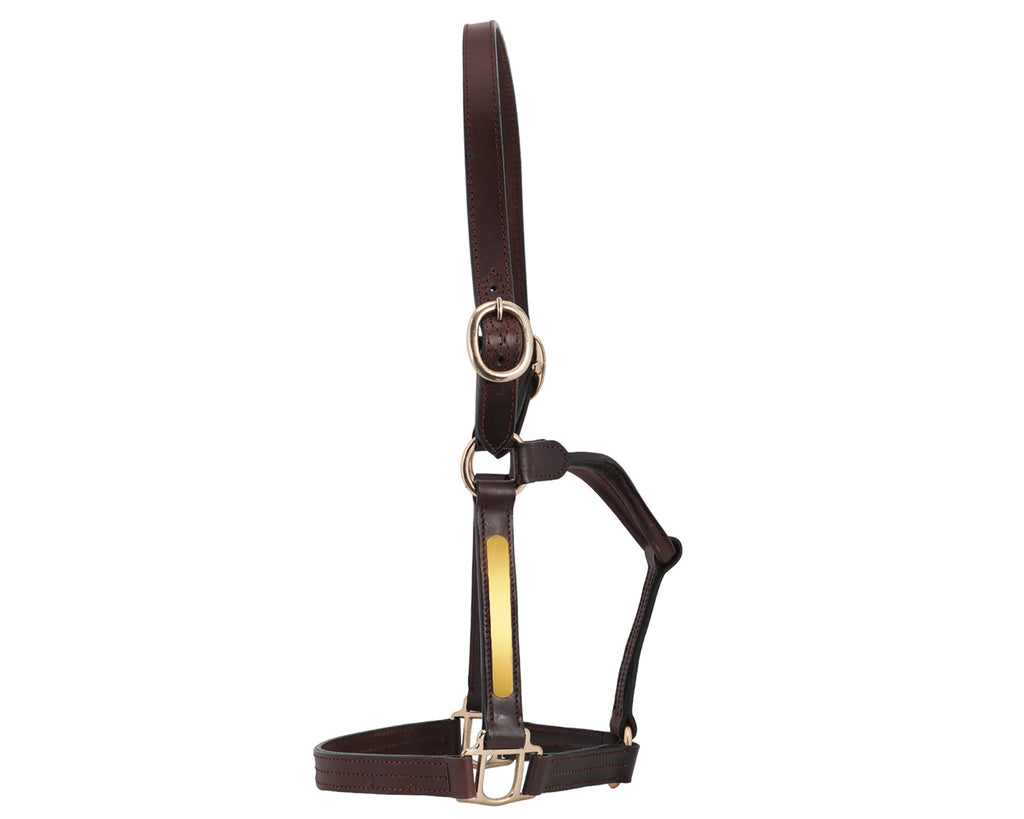 Thoroughbred Nameplate Halter made with expert craftsmanship and stylish design
