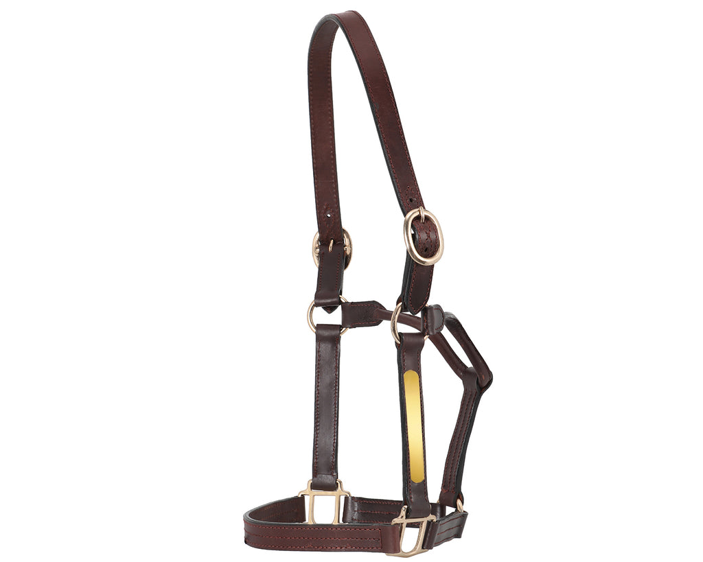 Thoroughbred Nameplate Halter made with double layered leather and polished brass name plates