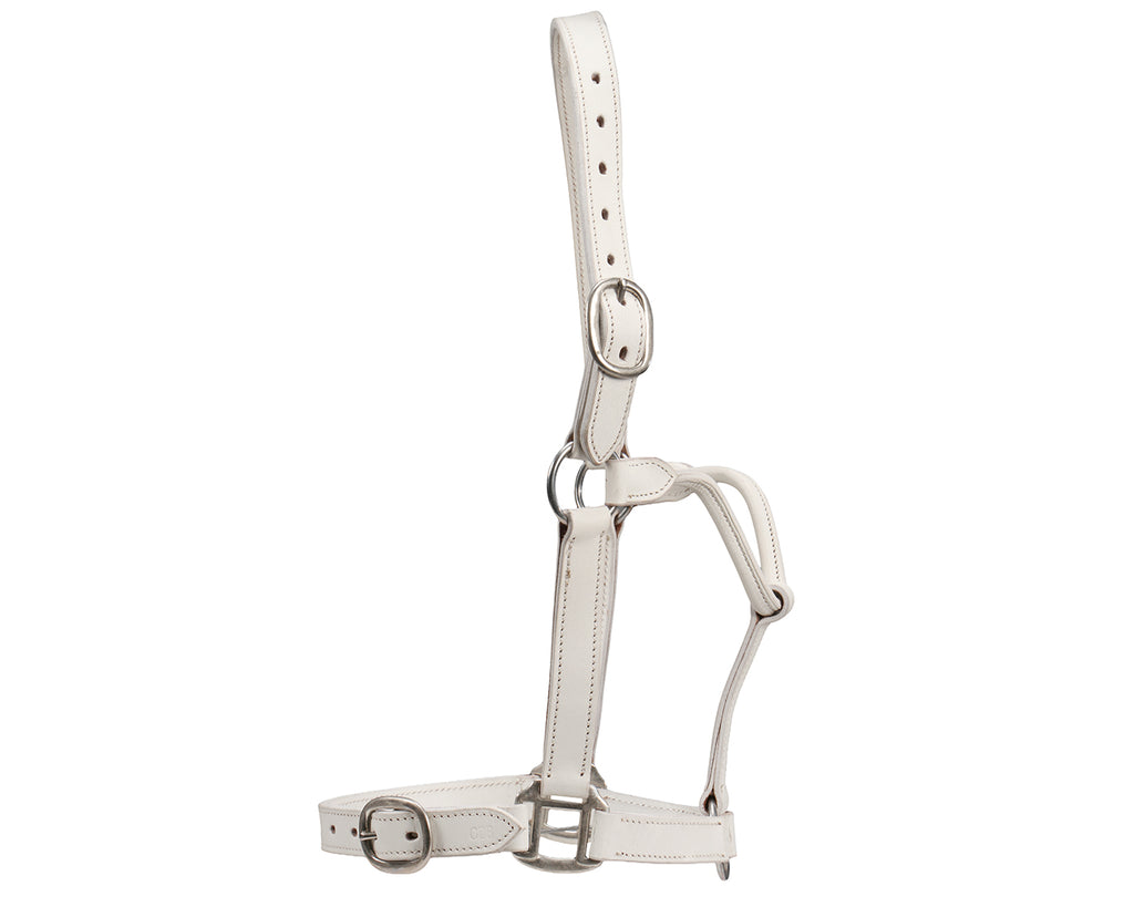 STC Leather Halter