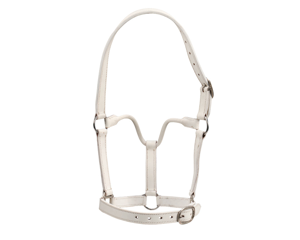 STC Leather Halter