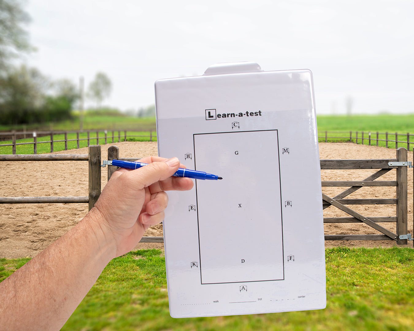 Cours de Dressage du Cheval | Horse Academy Cours de Dressage du Cheval | Horse Academy