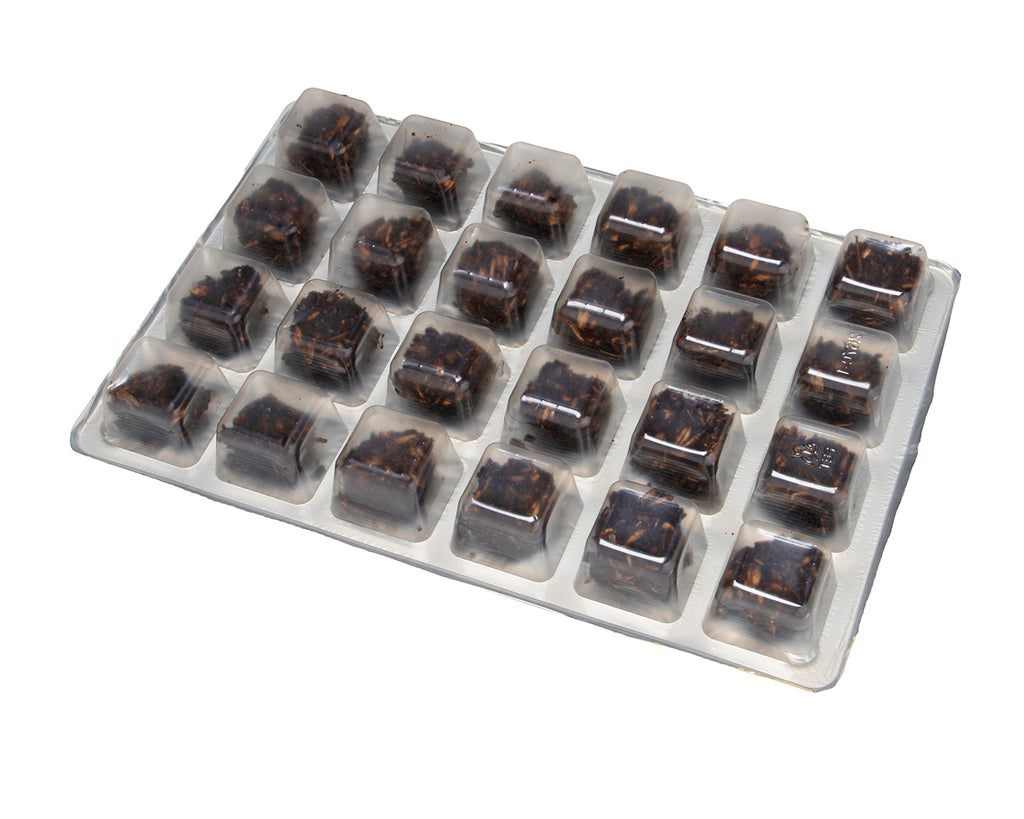 Stud Muffin Horse Treats Advent Calendar