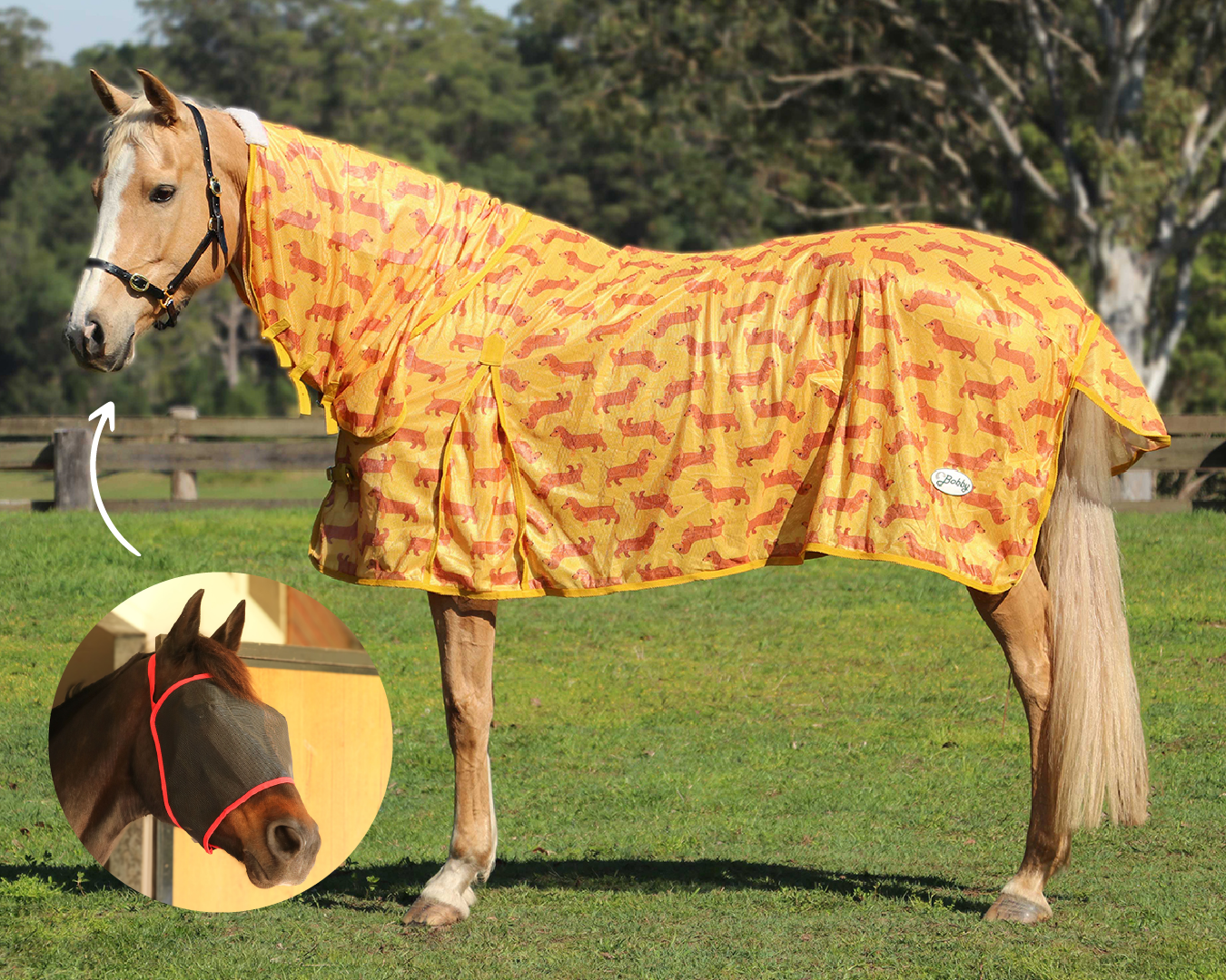 Sausage dog bundle Greg Grant Saddlery