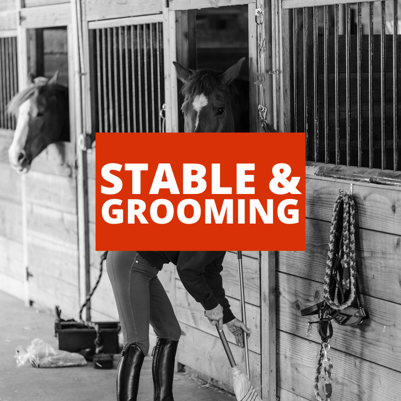 Horse Gear Outlet at Greg Grant Saddlery Horse essentials for less