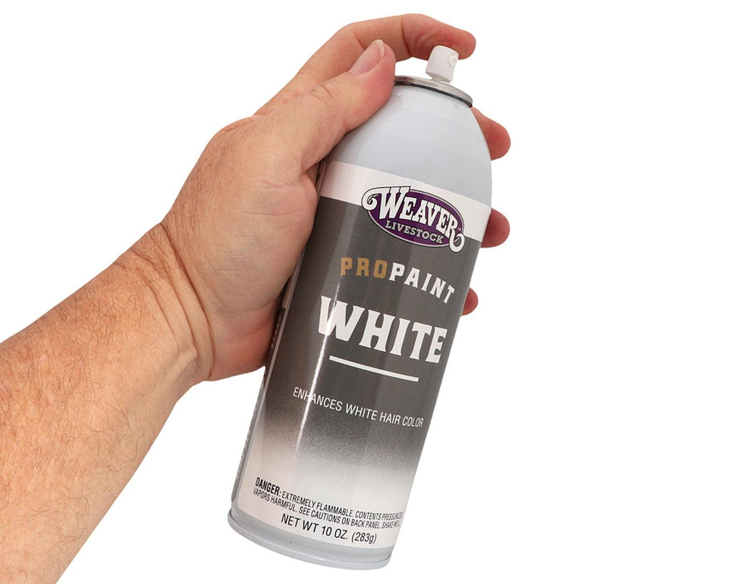 Weaver Livestock ProPaint White For Show Cattle