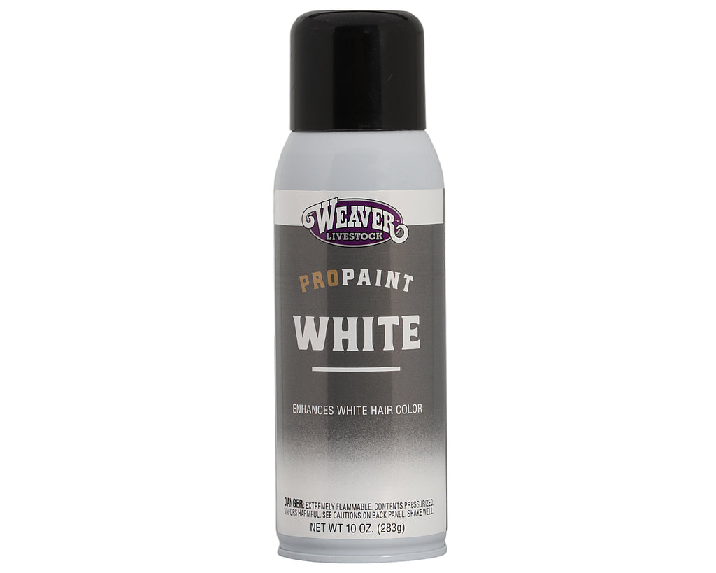 Weaver Livestock ProPaint White For Show Cattle