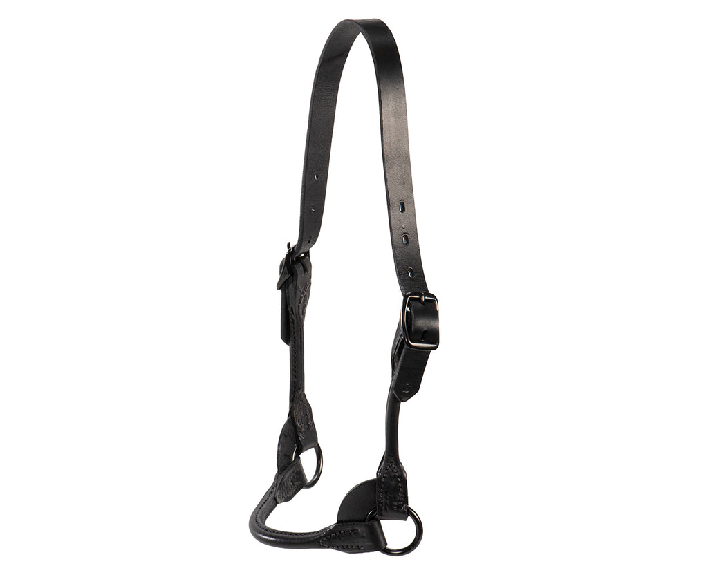 Weaver Black Magic Cattle Show Halter