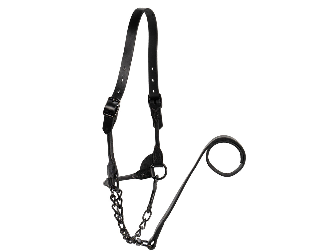 Weaver Black Magic Cattle Show Halter