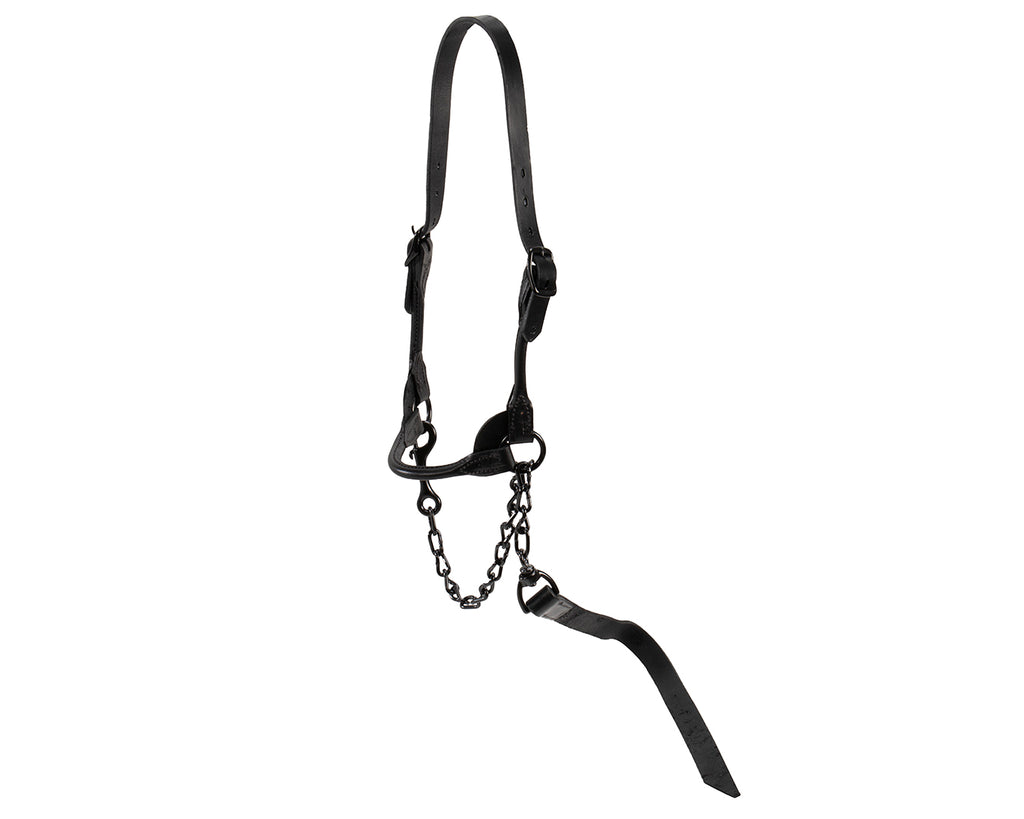 Weaver Black Magic Cattle Show Halter