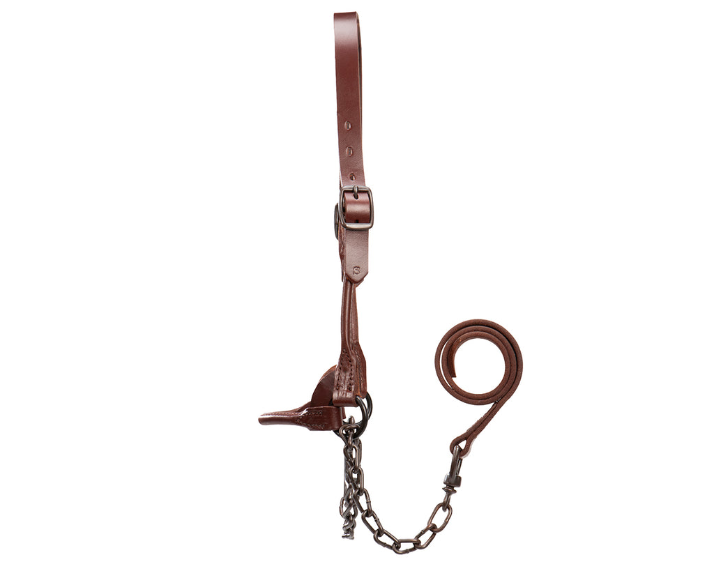Weaver Brown Bombshell Cattle Show Halter