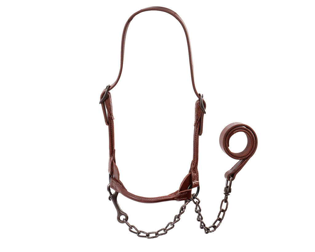 Weaver Brown Bombshell Cattle Show Halter