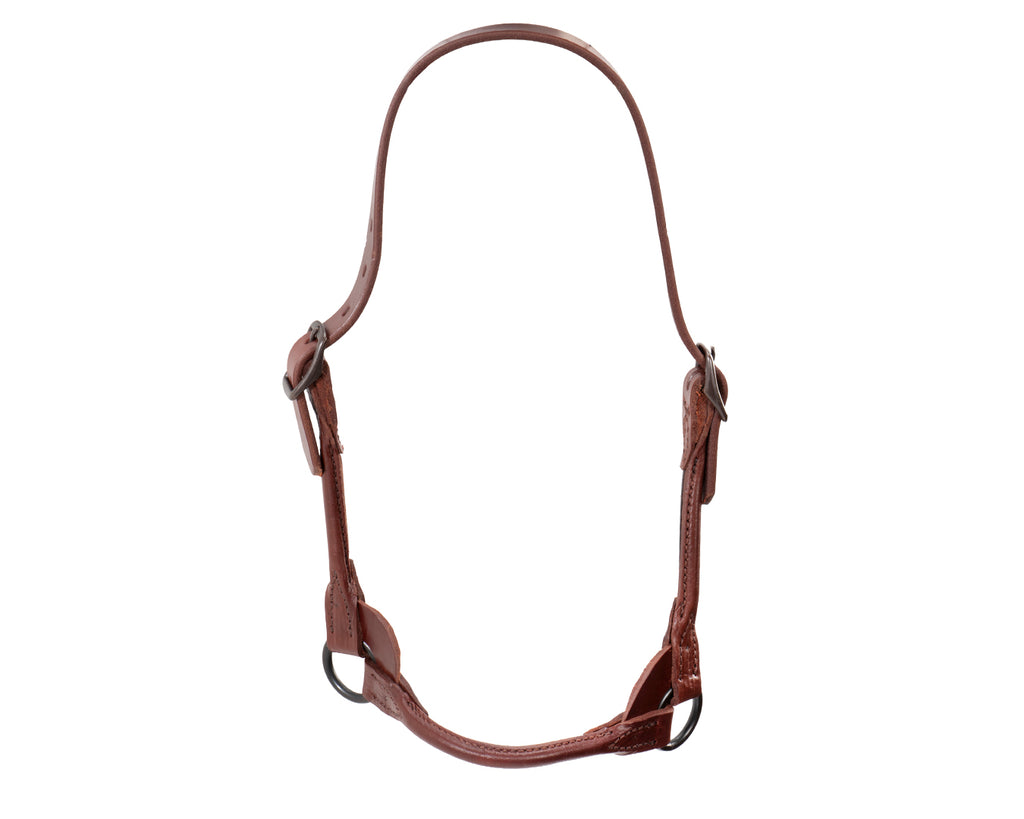 Weaver Brown Bombshell Cattle Show Halter