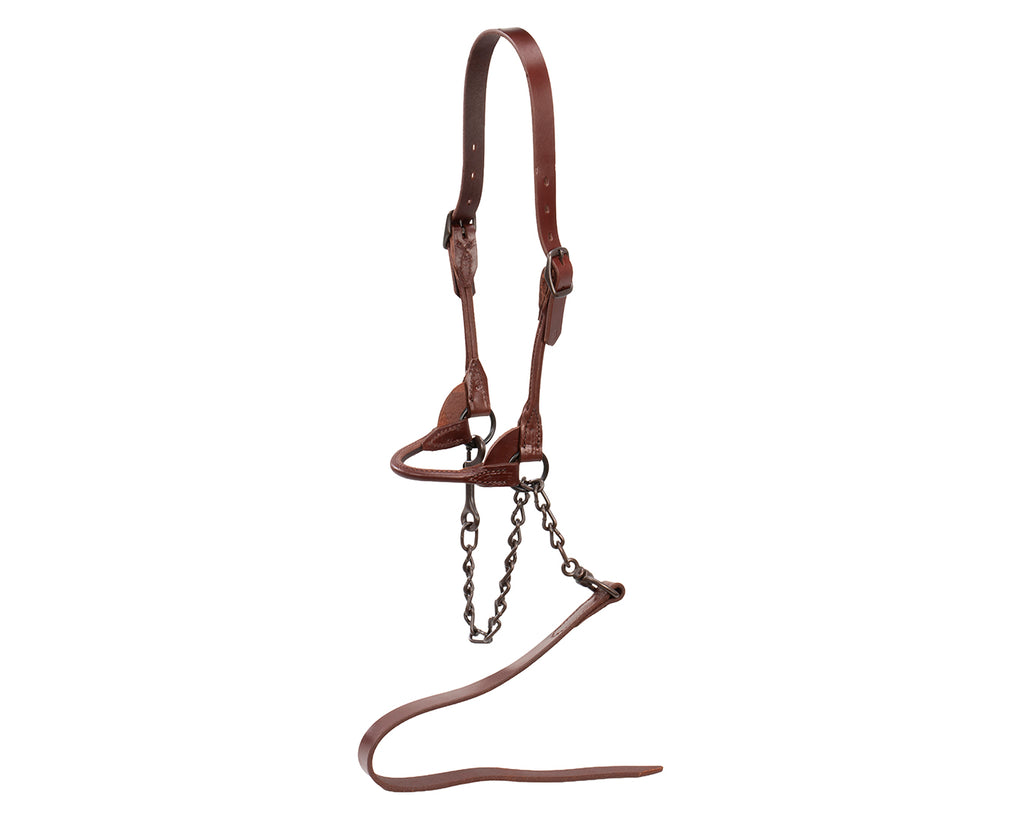 Weaver Brown Bombshell Cattle Show Halter