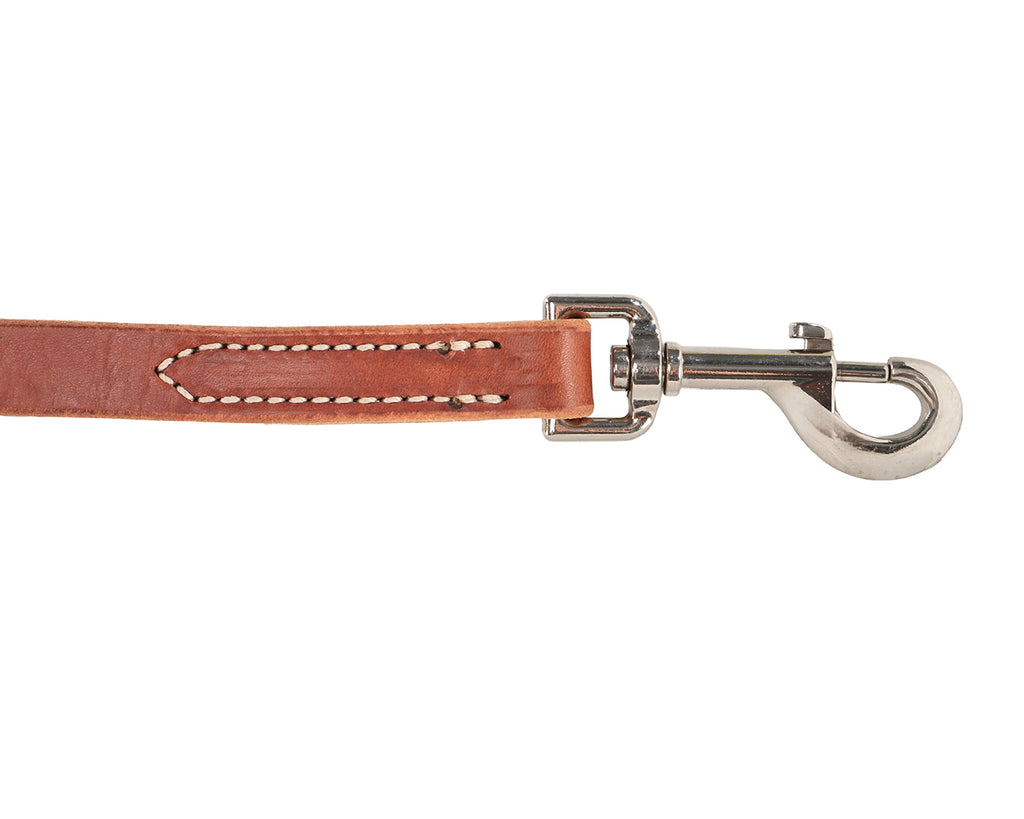 Weaver Horizons Collection Tie Down Strap