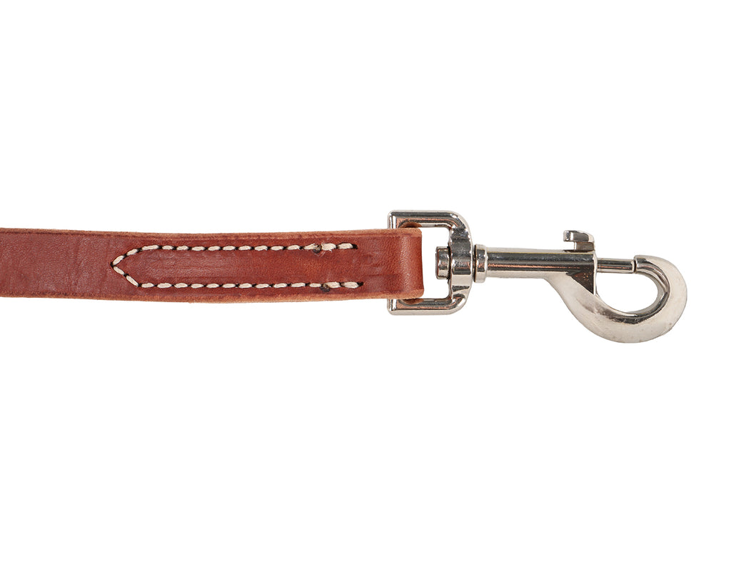 Weaver Horizons Collection Tie Down Strap