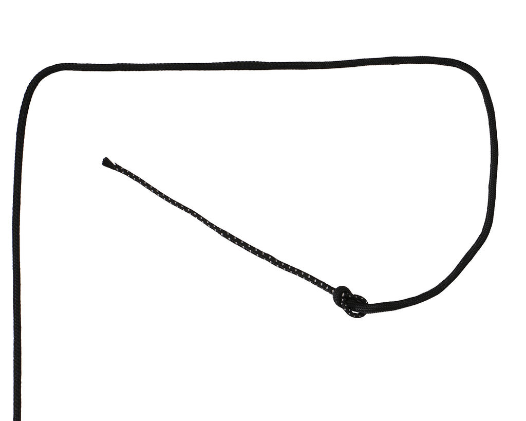 Westlake Lunge Whips