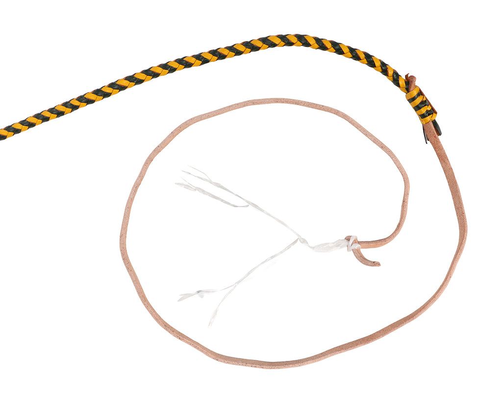 Kangaroo Stockwhip The Aussie