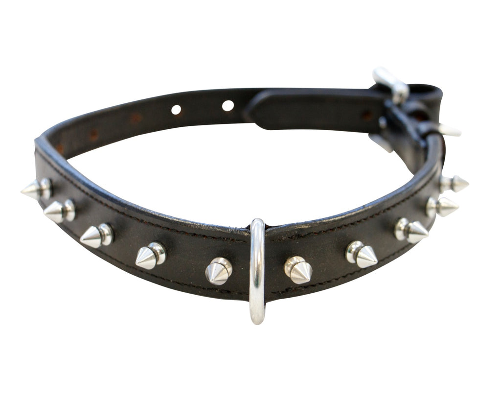 Single Row Studded Collar Dog Collar - Leather with metal studs and adjustable size.