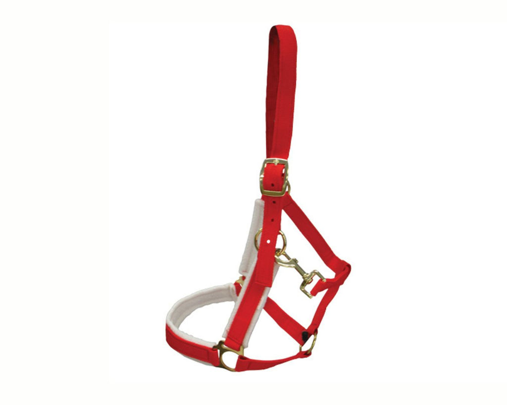 STC Christmas Halter - A festive holiday-themed horse halter with cheerful Christmas design. Perfect for spreading holiday joy during equestrian activities. Shop now at Greg Grant Saddlery.